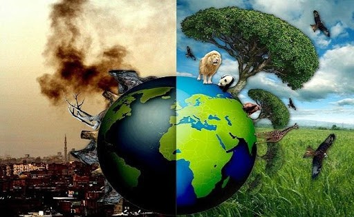 Ô nhiễm môi trường phá hủy hành tinh xanh